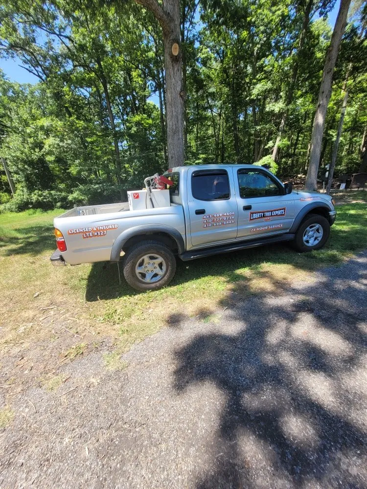Expert lawn care service in Brooklyn Park, MD by Liberty Tree And Landscaping Services