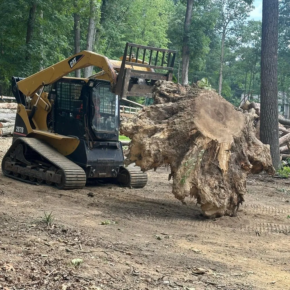 Professional lawn mowing service with custom design in Brooklyn Park, MD by Liberty Tree And Landscaping Services