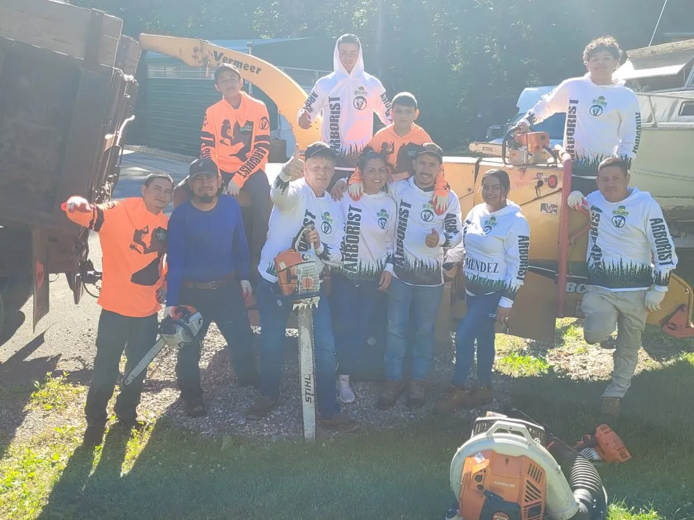 Professional yard maintenance in Brooklyn Park, MD - Liberty Tree And Landscaping Services