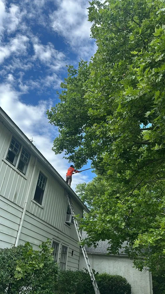 Local lawn mowing service experts serving Brooklyn Park, MD - Liberty Tree And Landscaping Services