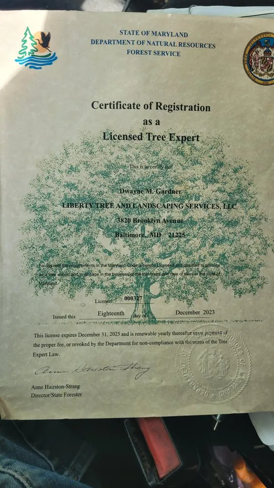 Professional outdoor landscaping with custom design in Brooklyn Park, MD by Liberty Tree And Landscaping Services