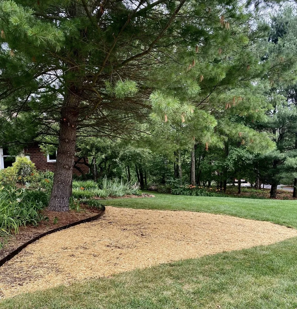 Professional lawn mowing service in Belmont, MI - Liberty Tree Landscaping Services