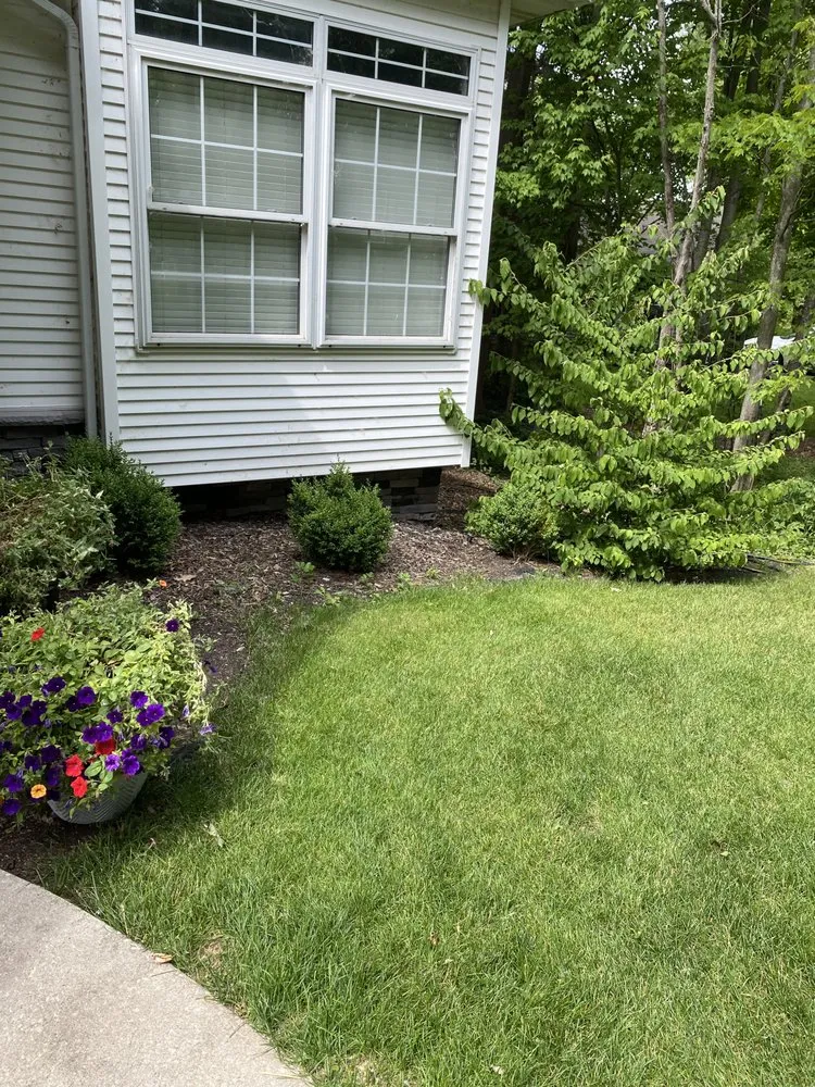 Professional yard maintenance experts serving Belmont, MI - Liberty Tree Landscaping Services