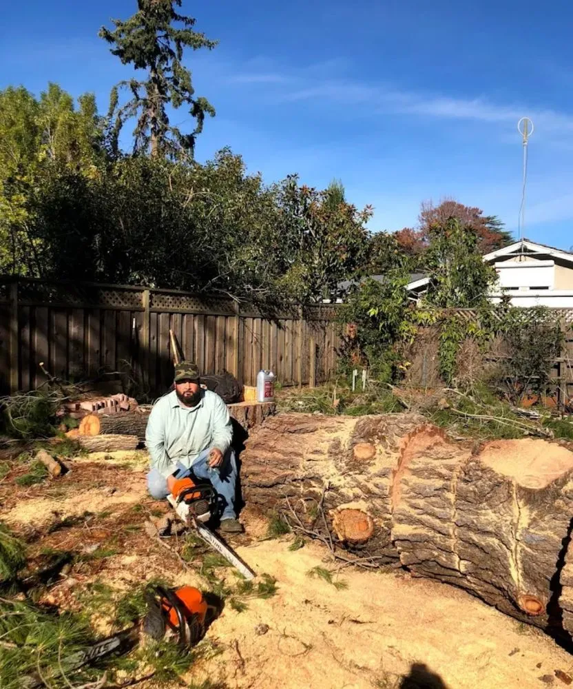 Local residential landscaping experts serving Morgan Hill, CA - Liberty Tree Service