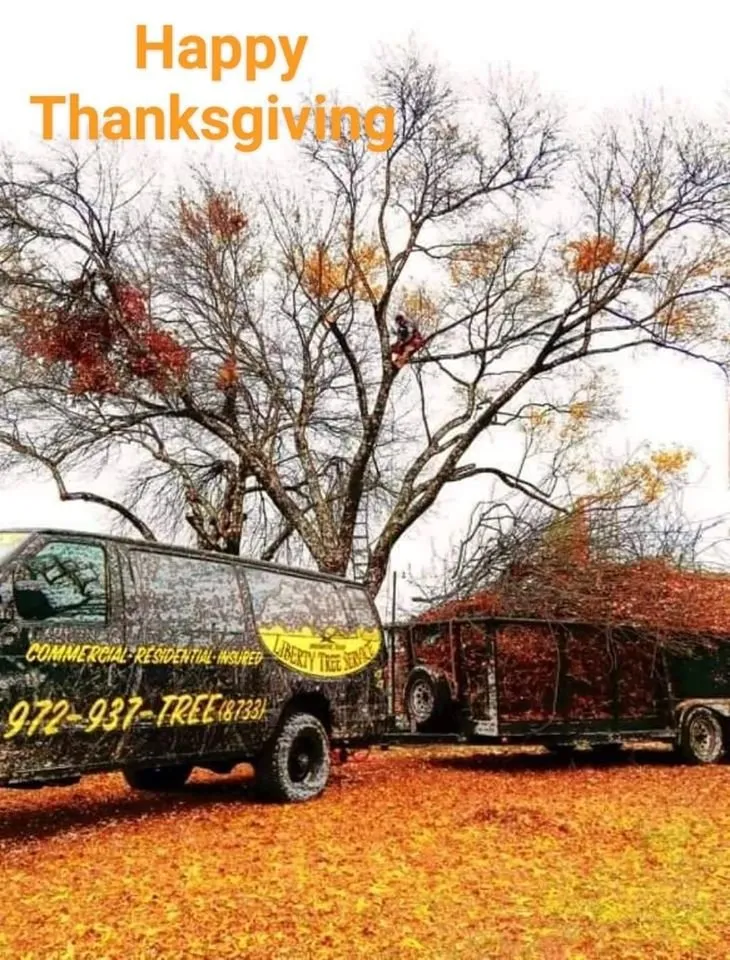 Reliable landscape installation experts serving Waxahachie, TX - Liberty Tree Service