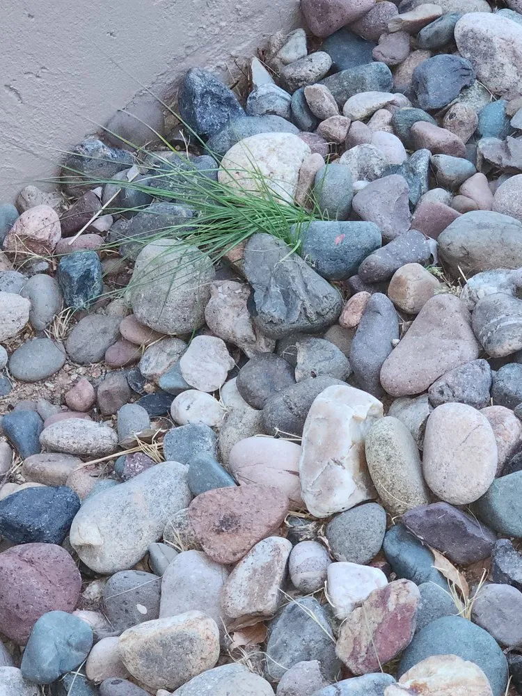 Trusted garden landscaping experts serving Youngtown, AZ - Libra Landscaping