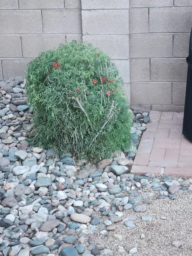 Custom landscape design for beautiful yards across Youngtown, AZ - Libra Landscaping