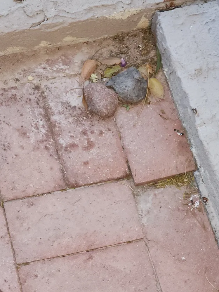 Local landscape design experts serving Youngtown, AZ - Libra Landscaping