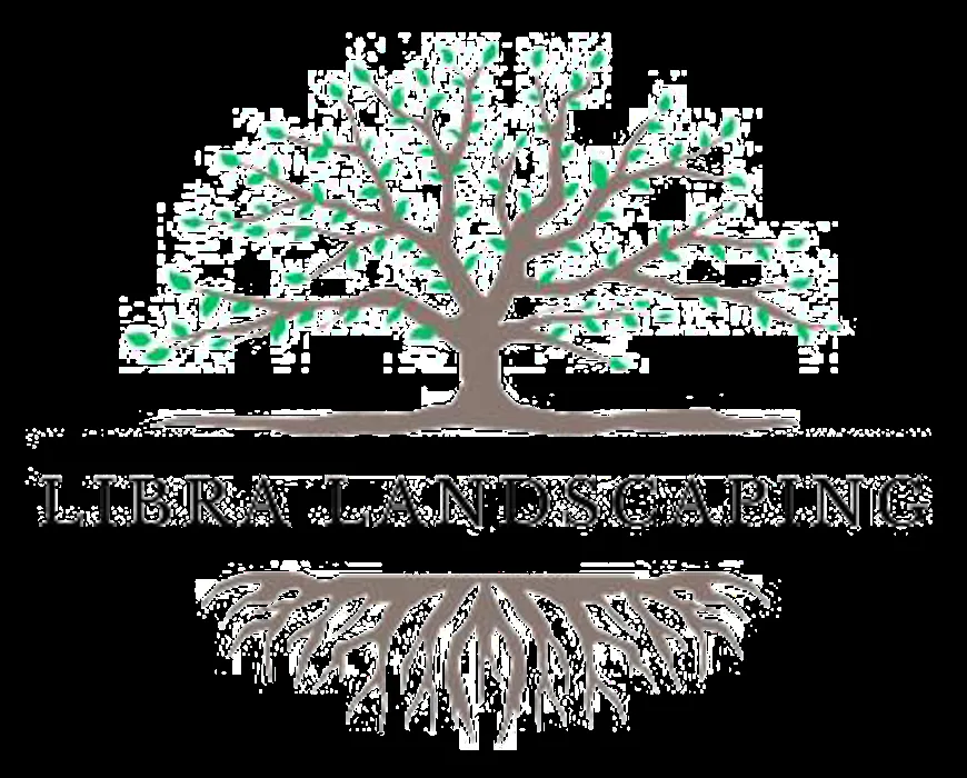 Expert lawn care service experts serving Youngtown, AZ - Libra Landscaping