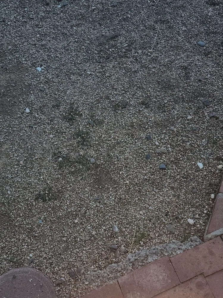 Local yard maintenance in Youngtown, AZ - Libra Landscaping