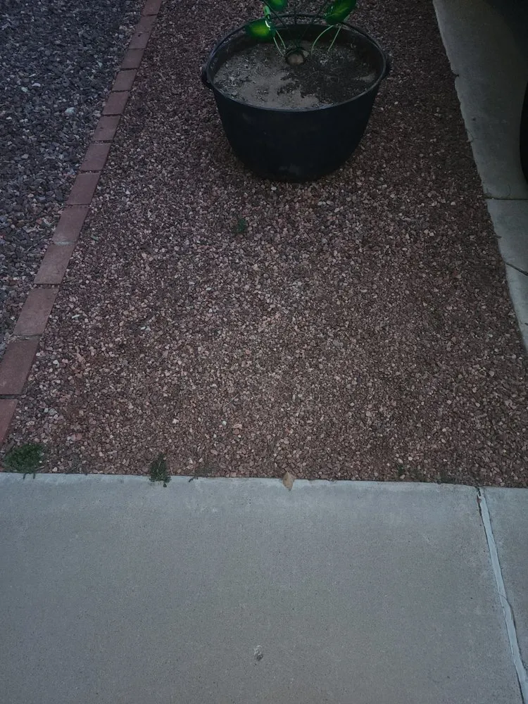 Custom yard cleanup service in Youngtown, AZ - Libra Landscaping
