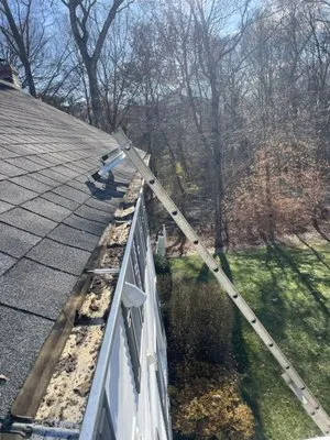 Licea Lawn Services Logo