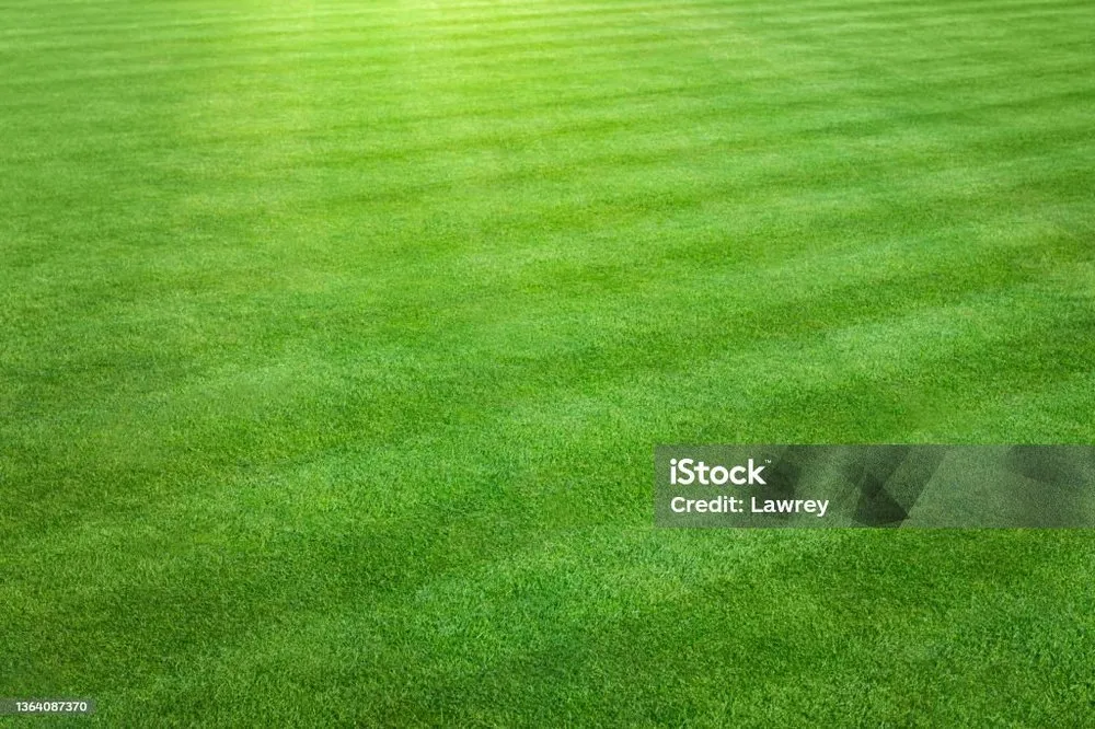 Expert lawn care service experts serving Mount Sterling, KY - Lichetti Lawn Care