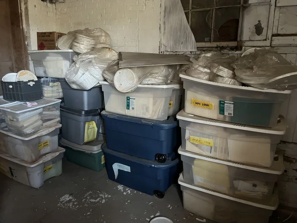 Professional yard cleanup service in West Springfield, MA - lickety-split property maintenance and junk removal