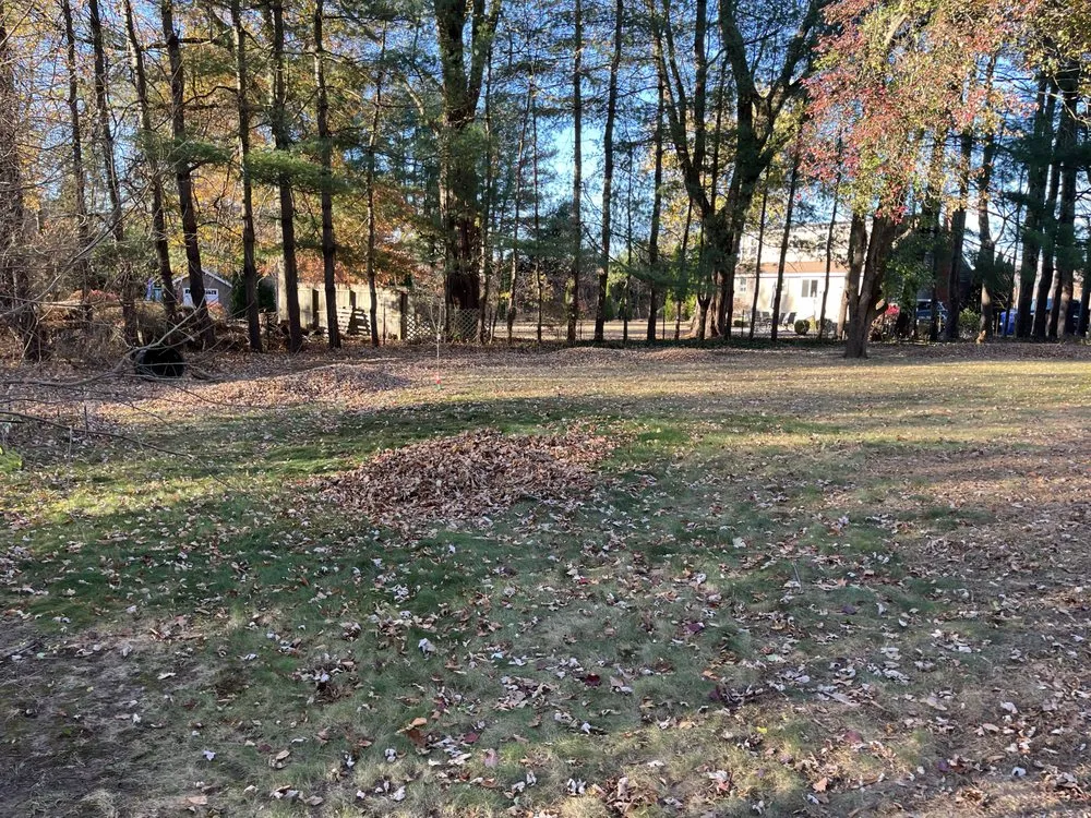 Reliable landscape installation with custom design in West Springfield, MA by lickety-split property maintenance and junk removal