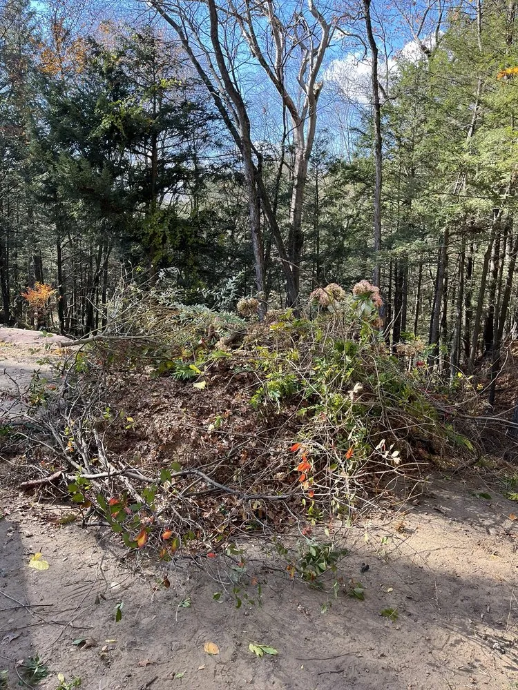 Local lawn care service in West Springfield, MA - lickety-split property maintenance and junk removal