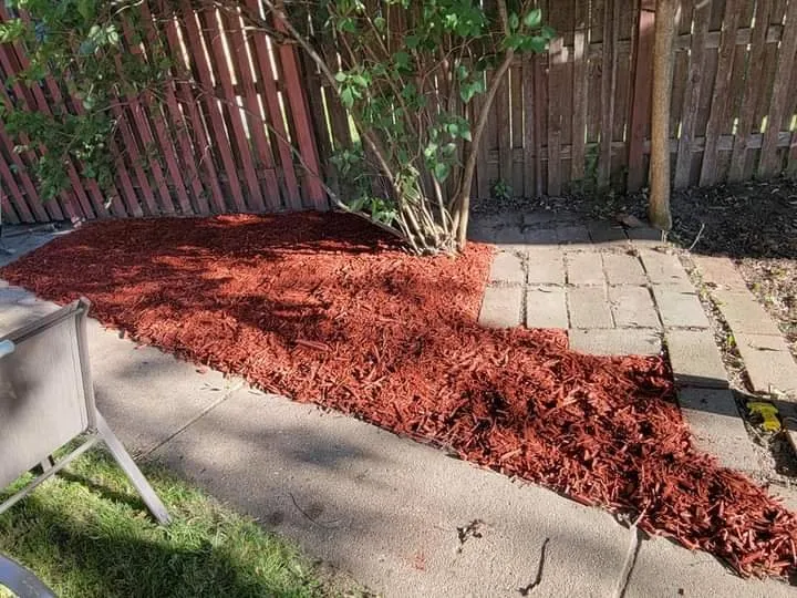 Professional yard cleanup service experts serving Milwaukee, WI - Lickidy Split Service