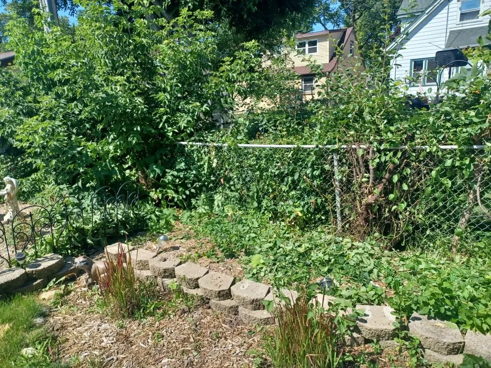 Reliable yard maintenance in Milwaukee, WI by Lickidy Split Service