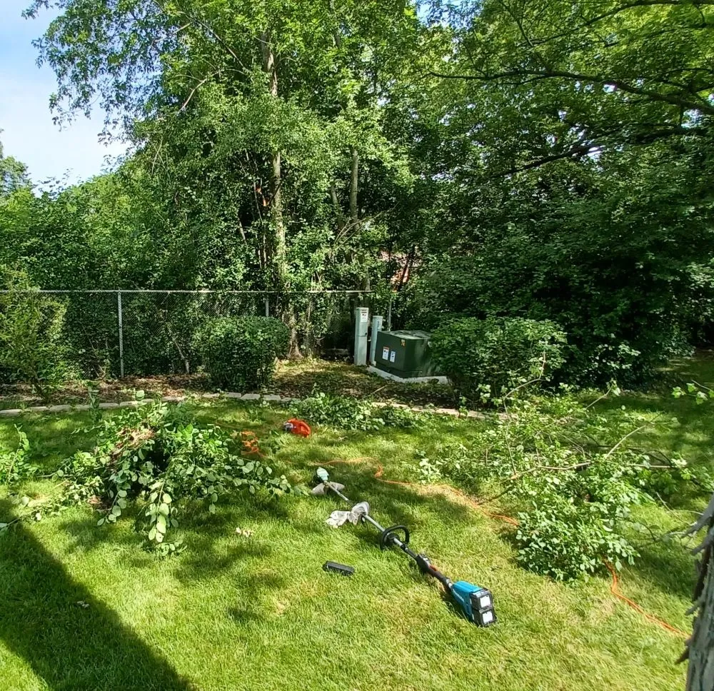 Expert landscape design in Milwaukee, WI - Lickidy Split Service