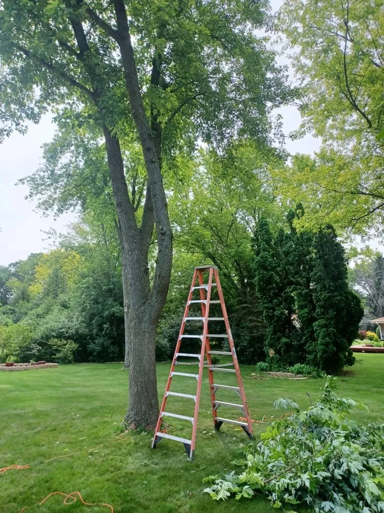 Expert garden landscaping with custom design in Milwaukee, WI by Lickidy Split Service