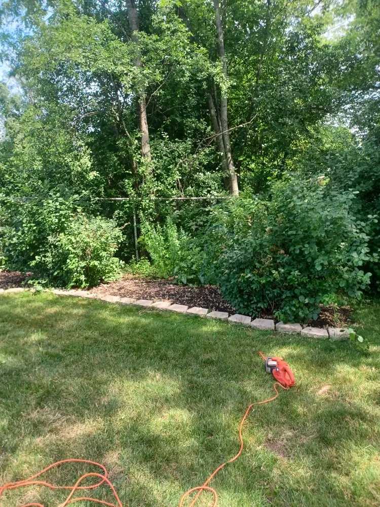 Trusted yard cleanup service experts serving Milwaukee, WI - Lickidy Split Service
