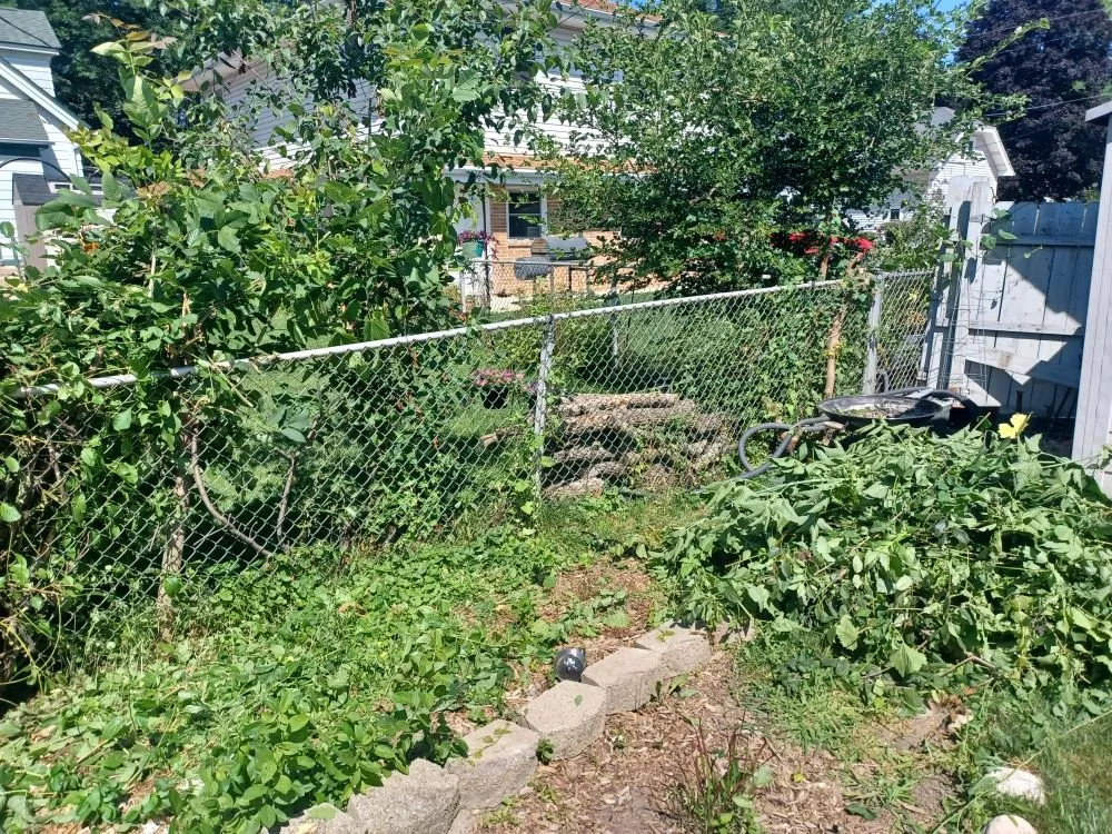 Local landscape installation in Milwaukee, WI by Lickidy Split Service