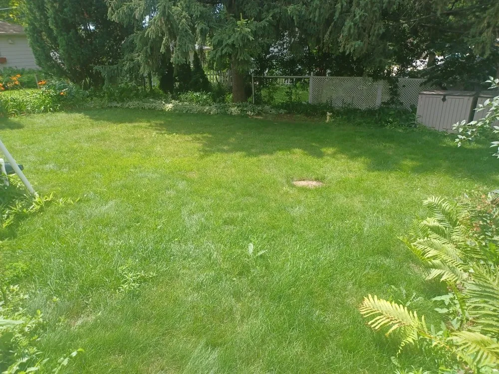 Reliable lawn care service near you across Milwaukee, WI - Lickidy Split Service