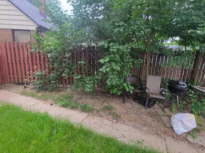 Trusted outdoor landscaping with custom design in Milwaukee, WI by Lickidy Split Service