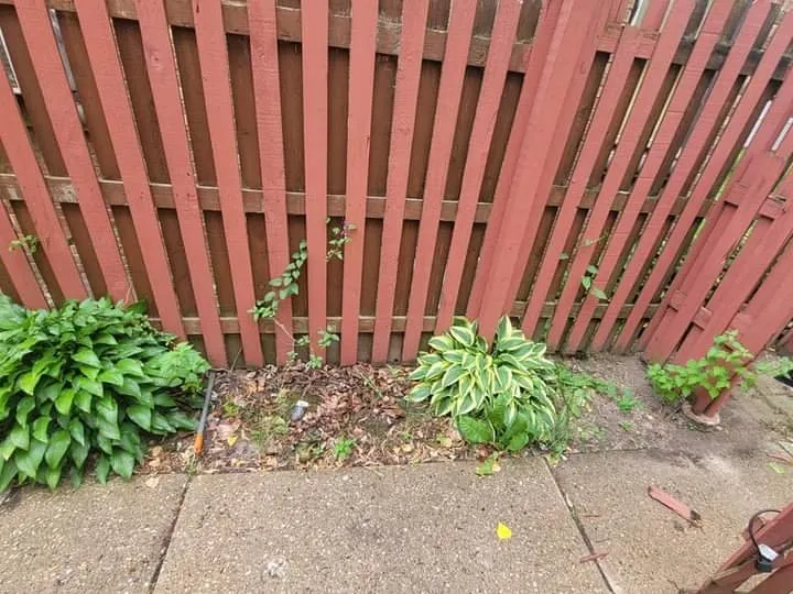 Custom yard cleanup service in Milwaukee, WI by Lickidy Split Service