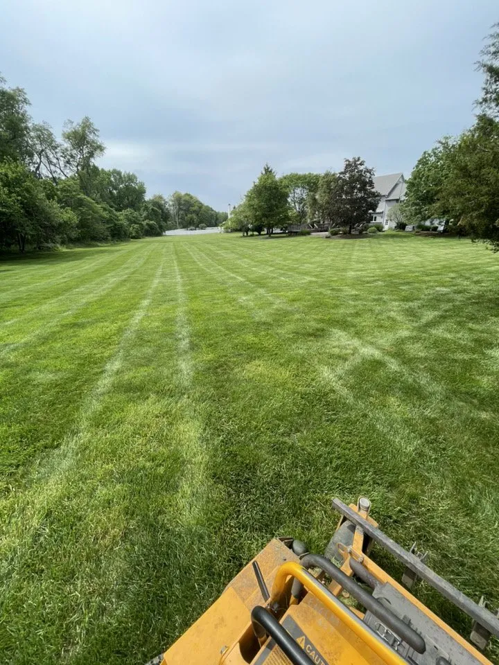 Local yard cleanup service near you in New Brunswick, NJ by Licona Landscape Contractor