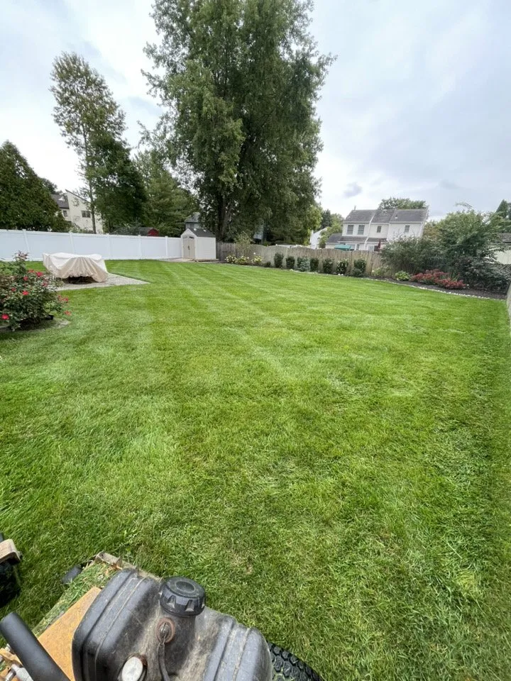 Expert yard cleanup service for year-round maintenance across New Brunswick, NJ - Licona Landscape Contractor