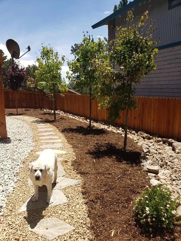 Reliable yard cleanup service with custom design in Big Bear, CA by Licona Landscaping