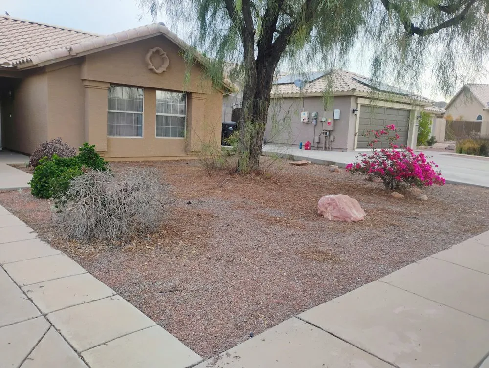 Top-rated lawn care service for beautiful yards across Mesa, AZ - Licona Landscaping