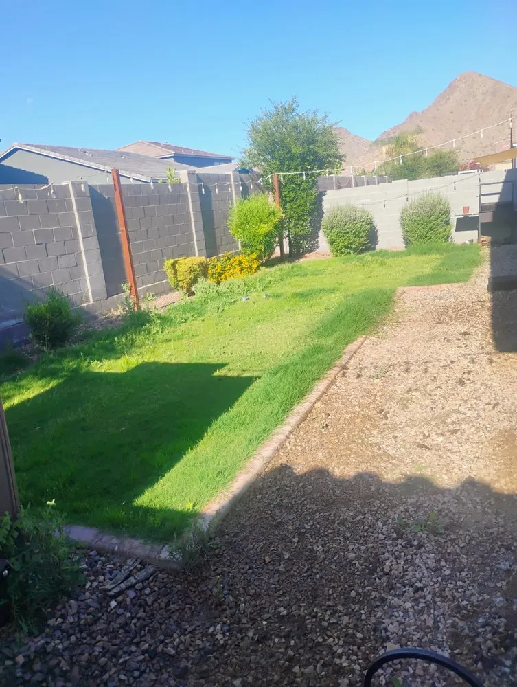Custom yard maintenance in Mesa, AZ by Licona Landscaping