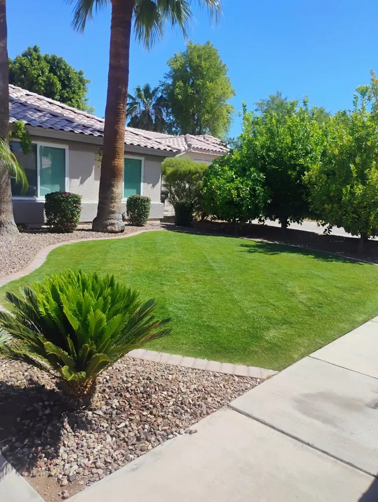 Reliable yard maintenance for year-round maintenance across Mesa, AZ - Licona Landscaping