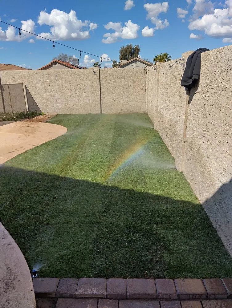 Reliable yard maintenance experts serving Mesa, AZ - Licona Landscaping