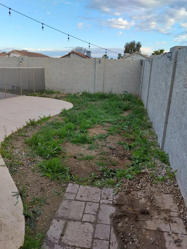 Expert lawn care service in Mesa, AZ - Licona Landscaping