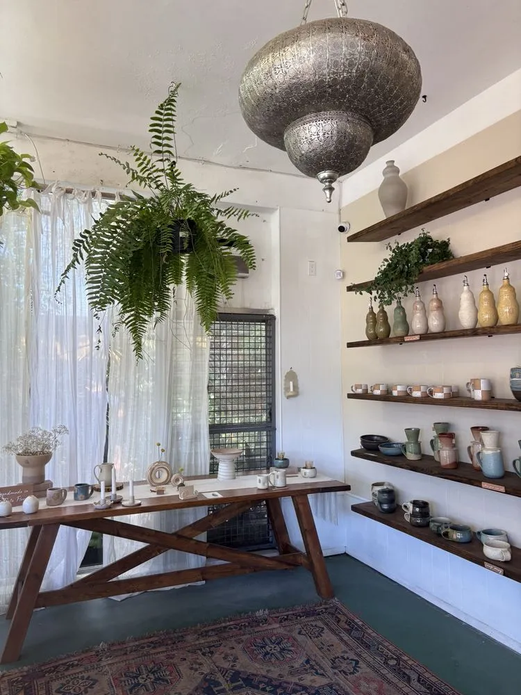 Reliable lawn care service with custom design in St. Petersburg, FL by Lida's Jungle