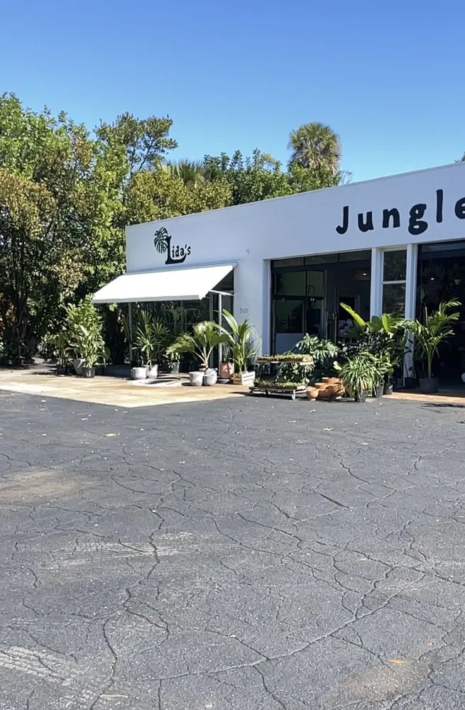 Trusted lawn care service for homes across St. Petersburg, FL - Lida's Jungle