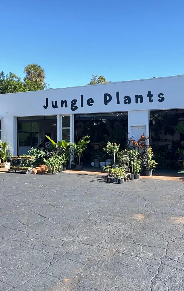 Local landscaping services for year-round maintenance in St. Petersburg, FL by Lida's Jungle