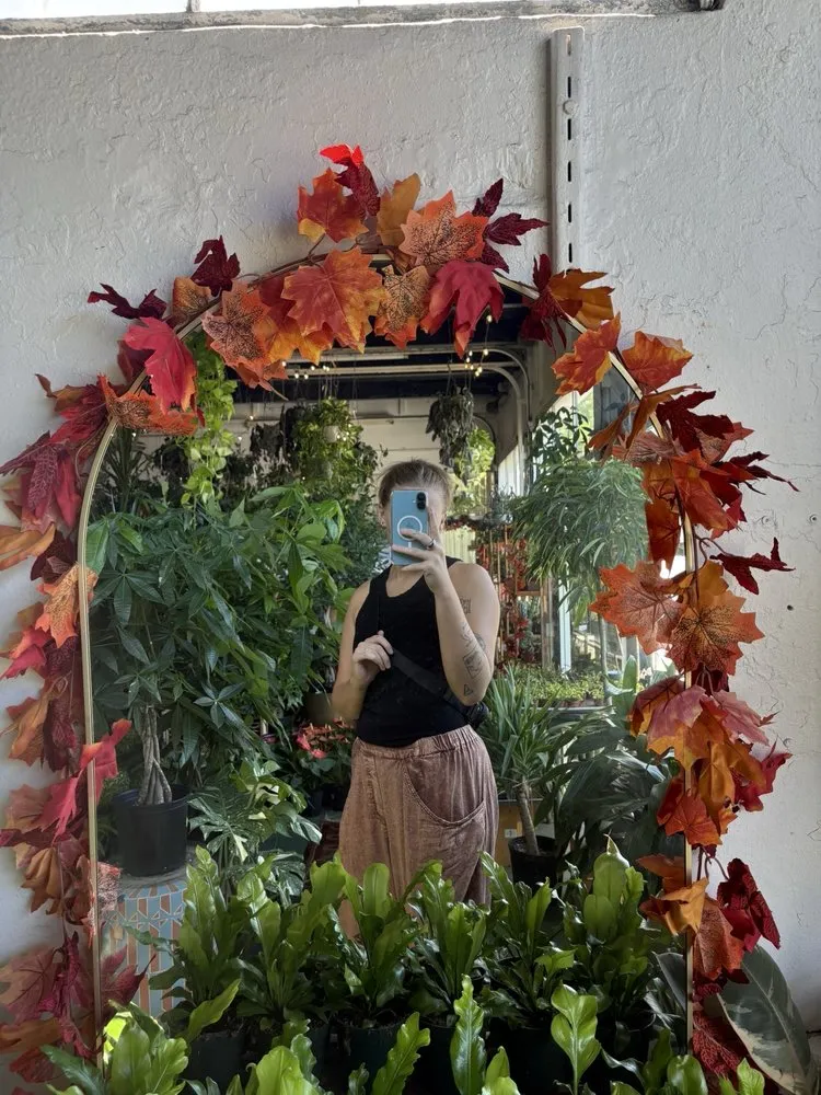 Local outdoor landscaping in St. Petersburg, FL by Lida's Jungle