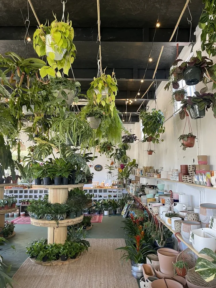 Reliable yard maintenance for residential properties across St. Petersburg, FL - Lida's Jungle