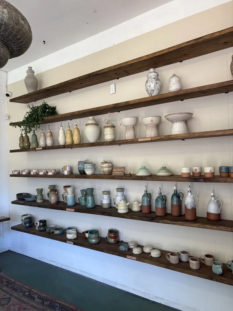 Top-rated residential landscaping experts serving St. Petersburg, FL - Lida's Jungle