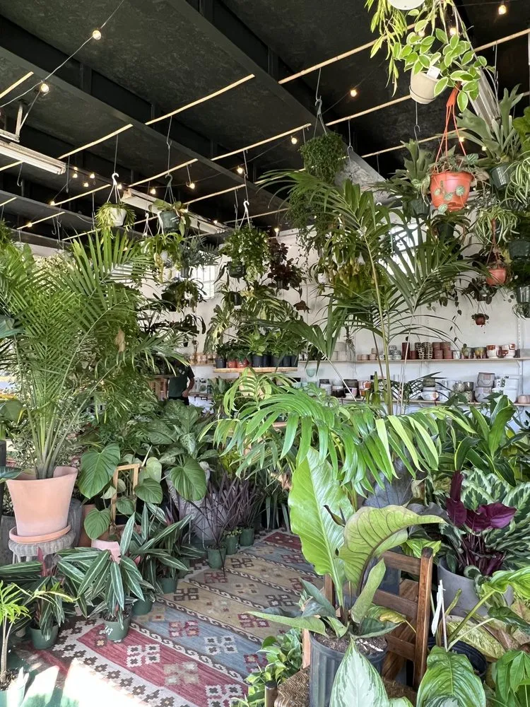 Top-rated outdoor landscaping for year-round maintenance in St. Petersburg, FL by Lida's Jungle