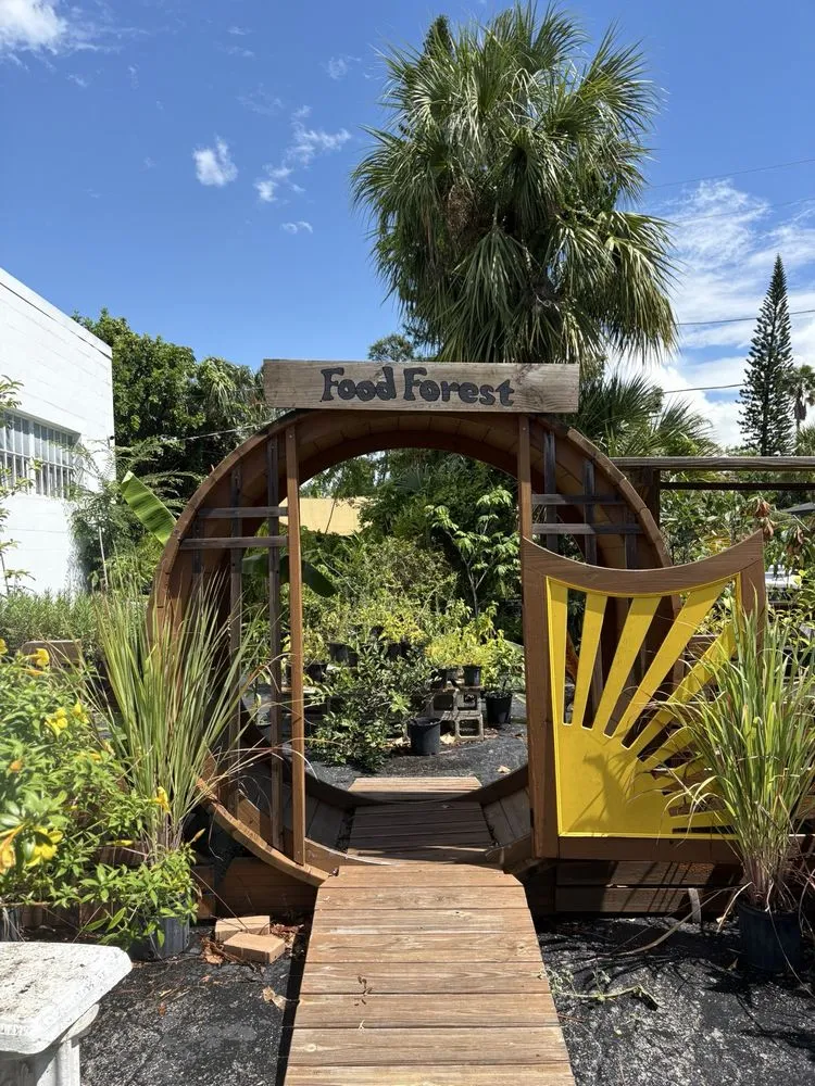 Expert landscape installation experts serving St. Petersburg, FL - Lida's Jungle