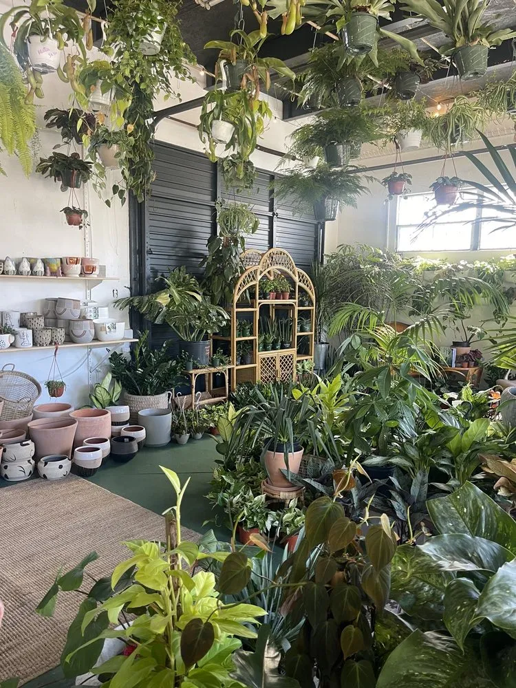 Professional garden landscaping for year-round maintenance in St. Petersburg, FL by Lida's Jungle