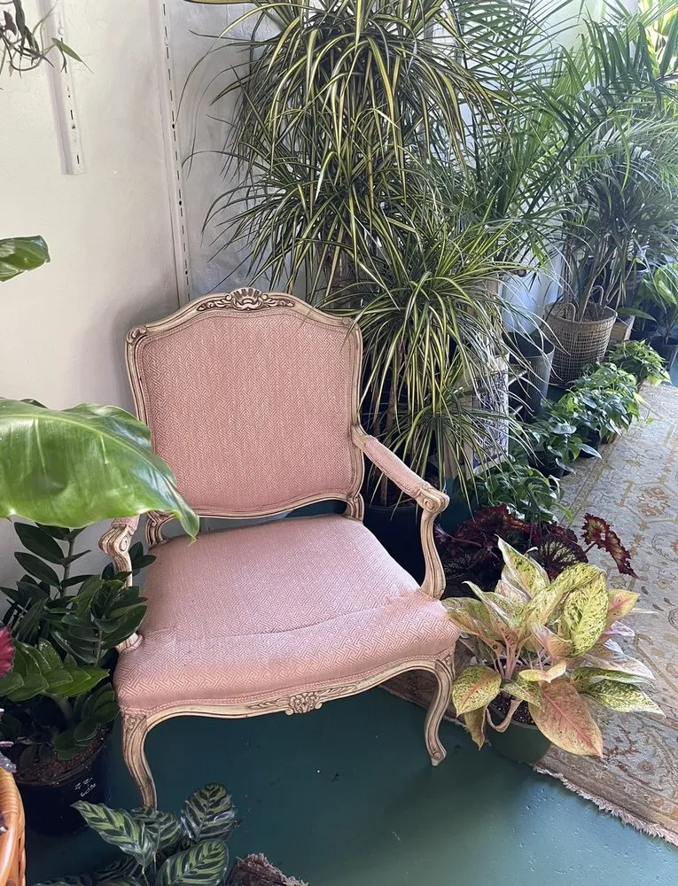 Top-rated yard maintenance in St. Petersburg, FL by Lida's Jungle