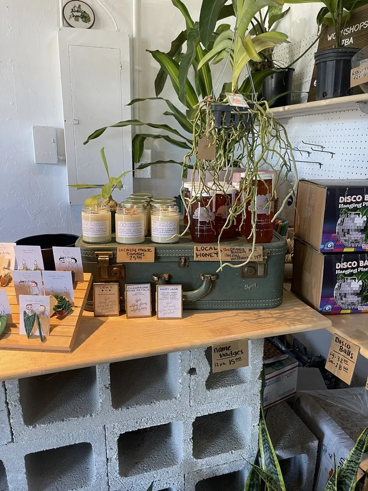 Trusted lawn mowing service for homes across St. Petersburg, FL - Lida's Jungle