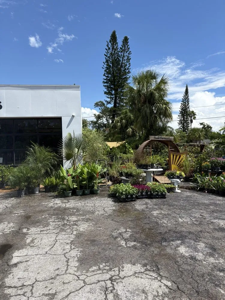 Affordable yard cleanup service in St. Petersburg, FL - Lida's Jungle