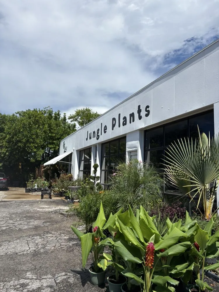 Professional landscape installation for year-round maintenance in St. Petersburg, FL by Lida's Jungle